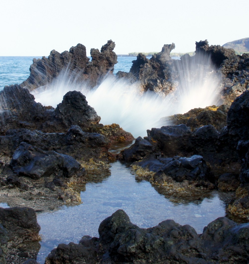 DSC08138 - Copy_crop.JPG